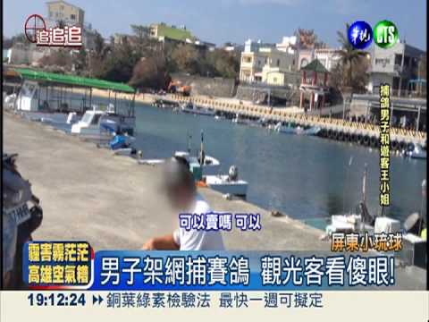 男子公然擄賽鴿 海巡隊視而不見?!