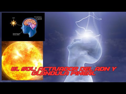 EL SECRETO DEL SOL, LA ACTIVACIÓN DEL ADN Y LA GLÁNDULA PINEAL