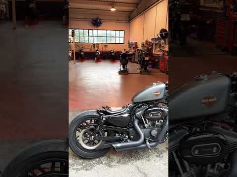CUSTOMIZED BY ME, HARLEY DAVIDSON SPORTSTER ROADSTER 1200 (bobber style)
