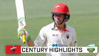 Carey cracks Shield ton against strong NSW attack | Marsh Sheffield Shield 2020-21