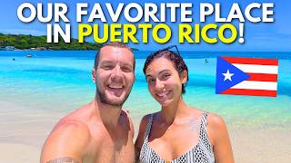 WE FOUND PARADISE IN PUERTO RICO! 🇵🇷 Cabo Rojo, Playa Buye, Boqueron & Gozalandia Waterfalls