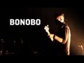 Bonobo - Towers (feat Szjerdene) - Live (Dour ...