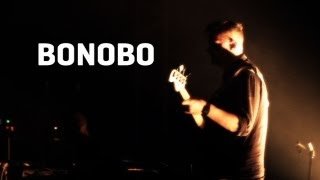 Bonobo - Towers (feat Szjerdene) - Live (Dour 2013)