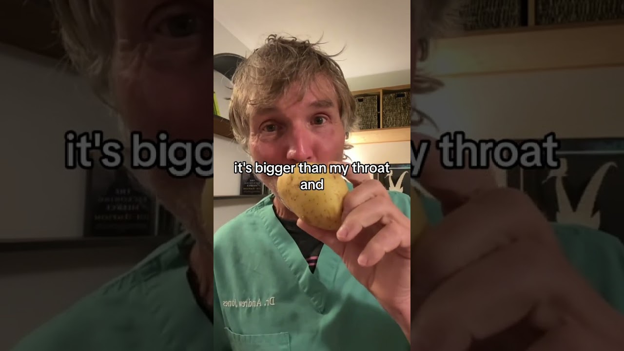 Should you give your dog a bone? 3 rules for safe bone chewing!