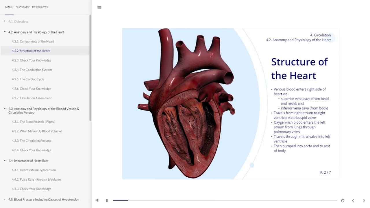 Nursing E-learning Module 4 - Interactive Healthcare Training