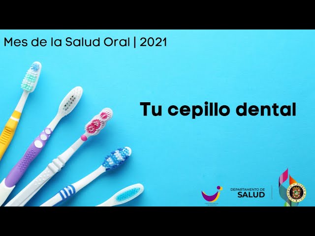 Vídeo relacionado con Cepillo de dientes gigante accesorio cepillo de dientes grande cepillo de dientes grandes Comedia Cepillo de dientes de demostración de gran tamaño Novedad Juguetes Cepillo de aseo de