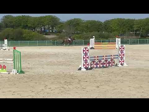 HOT KISS SEMILLY (Malito de Rêve x Diamant x Quidam) 4 ans / 4 YO - Greville 2021