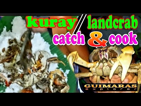Guimaras Traditional Way of Catching Kuray(land crab) "pamanlo" or pang-ilaw | Catch n Cook | Ep.02