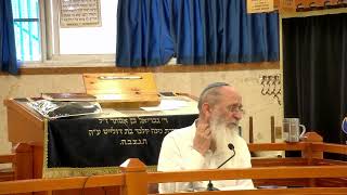 המעבר מארמית לעברית – שיעור 86 – ספר במדבר