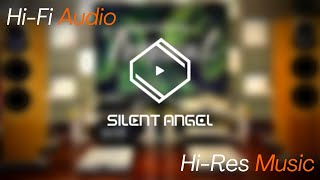 Silent Angel Hi-Fi Product Overview
