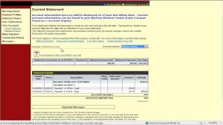 UMSL   MyView   Viewing Your Bill