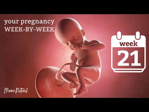 21 Weeks Pregnant - Natural Pregnancy Week-By-Week