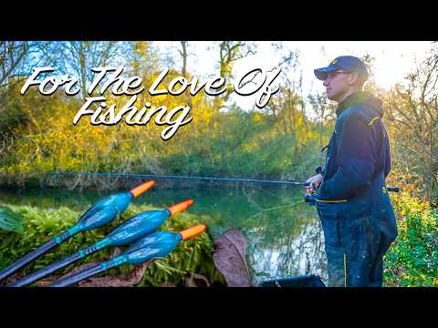 For The LOVE Of Fishing! - Float Fishing On Rivers | We Fished THREE Swims In A Day!