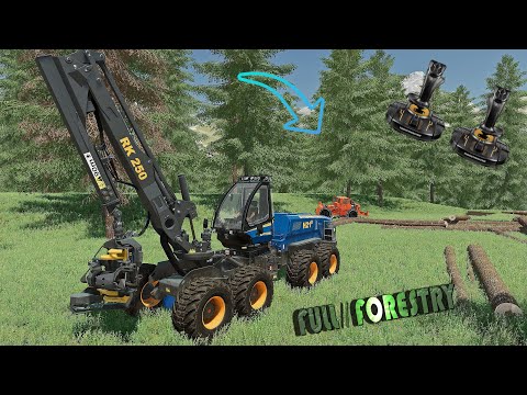 PRIMA zi la PADURE - TAFURI si MASINARII ROMANESTI full FORESTRY / REALISTIC GAMEPLAY / FS 22