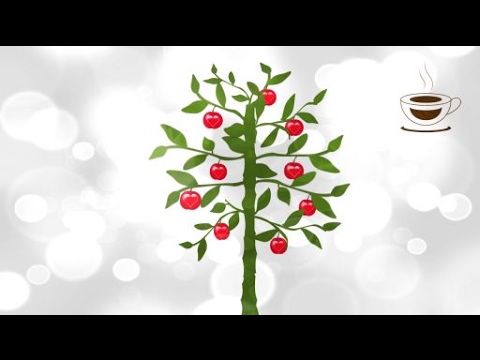 Ovoce Ducha je láska / The fruit of the Spirit is love