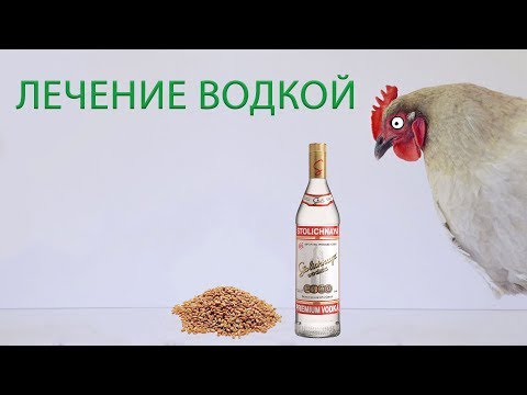 , title : 'ЛЕЧЕНИЕ КУР ВОДКОЙ (часть 14) \ Реальный опыт лечения и профилактики куриных заболеваний'