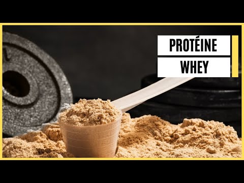 Meilleures protéines en poudre 2024 : mon test complet