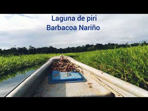 Laguna de piri barbacoas Nariño 