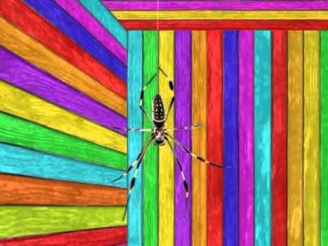 Black Moth Super Rainbow Live - Spiracle / 70's Gymnastics