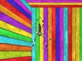 Black Moth Super Rainbow Live - Spiracle / 70's Gymnastics