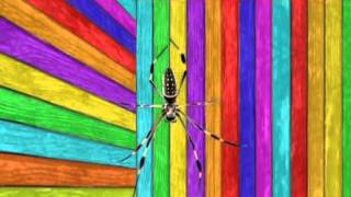 Black Moth Super Rainbow Live - Spiracle / 70's Gymnastics
