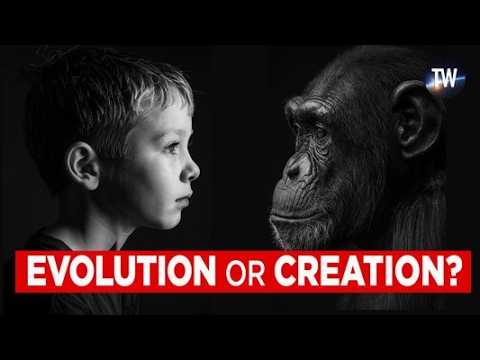 3 Lies of Evolution (With Consequences for Believing Them)