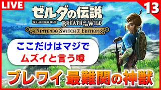 【ブレワイ 実況】四神獣ヴァ・ナボリスの体内を攻略！今日中に雷のカースガノンを倒したい【ゼルダの伝説 ブレス オブ ザ ワイルド】#13