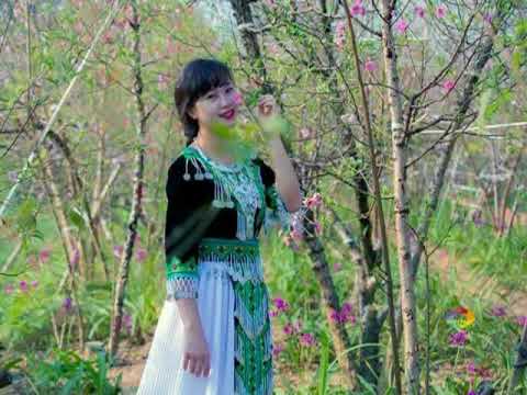 Ntshai koj tsis hlub tiag karaoke