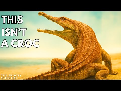 Every Creature That Evolved Into Crocodiles