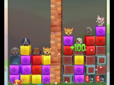 Pet Rescue Saga Level 6954 no boosters