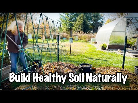 Living Sustainably | Compost & Leaf Mold: The Secret to Healthy Garden Soil