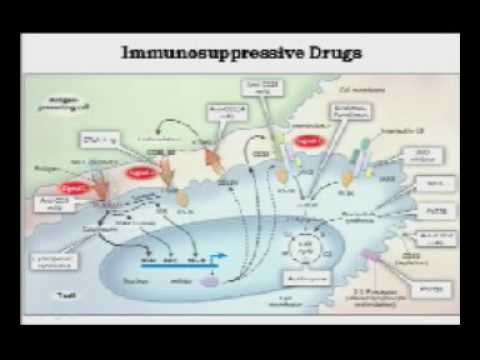 CGR Nephrology 02 08 2016