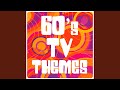 TV Theme (From The TV Series 