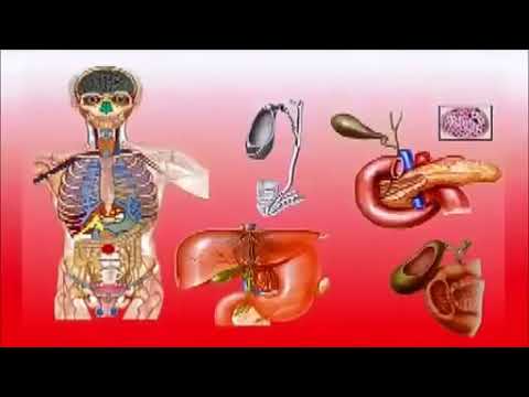 Mantak Chia - Tan Tien Chi Kung FULL LENGTH