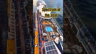 Royal Caribbean spectrum of the seas through aerial view #worldluxurycruise #shorts