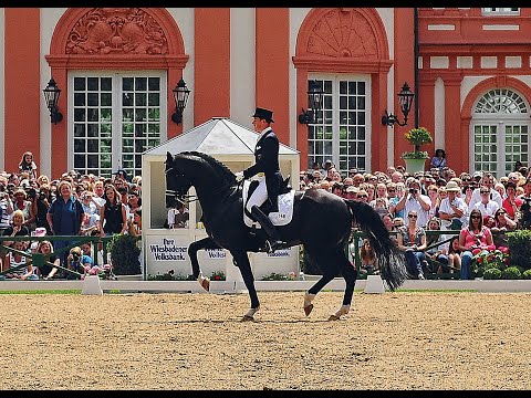 Totilas - Stallion Collection Schockemoehle & Helgstrand 2021 ENG