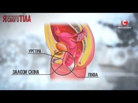 Adenoma della prostata in morfologia Come fermare la crescita della prostata