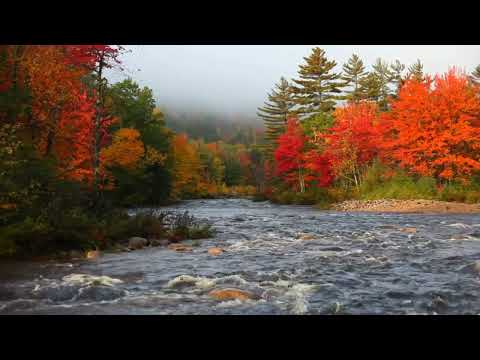 JW INSTRUMENTAL MUSIC, STRESS RELIEVER, RELAXING MUSIC,MEDITATION, EASY TO GET SLEEP #music #youtube