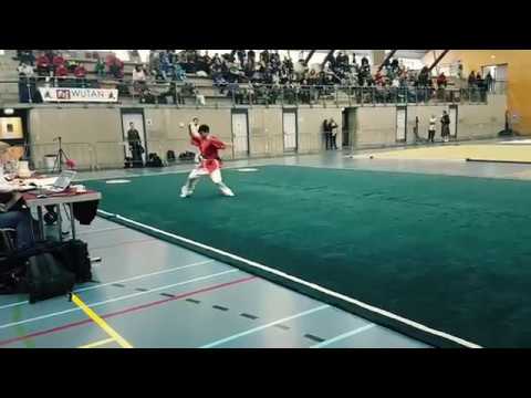 Randy Fernandez - CQ | Haojie Wushu Champ. 2017