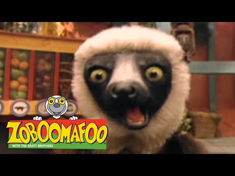 Zoboomafoo 136 - Hail to tails (Full Episode)