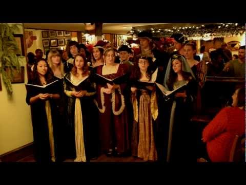 download lagu mp3 mp4 Black Labrador Houston, download lagu Black Labrador Houston gratis, unduh video klip Black Labrador Houston