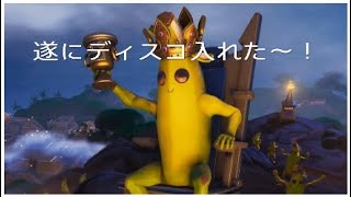 ディスコ入れた～