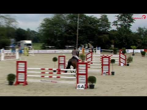 San Giovanni (Stakkato Gold/Calato)