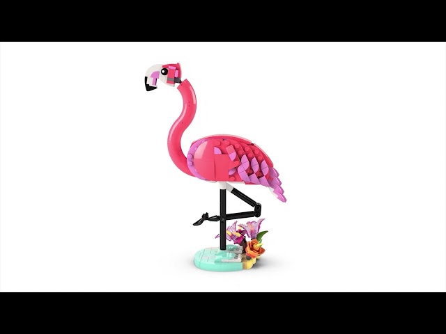 Vídeo relacionado con LEGO Creator 3 en 1 Fauna Salvaje: Flamenco Rosa de Juguete - Transformable en Cacatúa o Ajolote - Juego con Figuras Articuladas de Animales - Regalo de Cumpleaños para Niñas y Niños de 8+ Años 31170