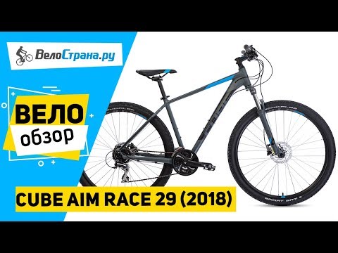 Aim Race 29