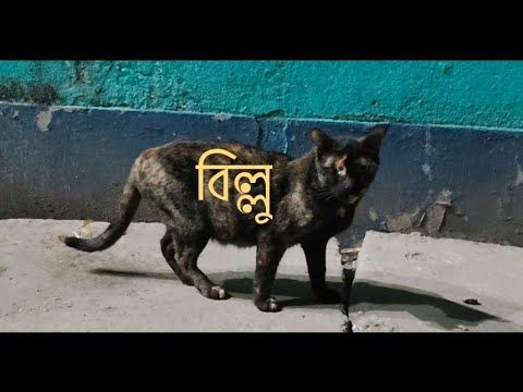 Billu|| Diptanshu||Dipendra||Pritam||Audio film|| Mobile making