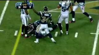 "The Catch" by Danny Amendola NFL