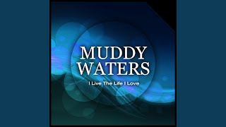 I Love the Life I Live (I Live the Life I Love)