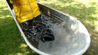 Helly Hansen gelb_blau 02