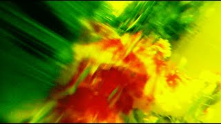 Cover art for Wash Your Hands